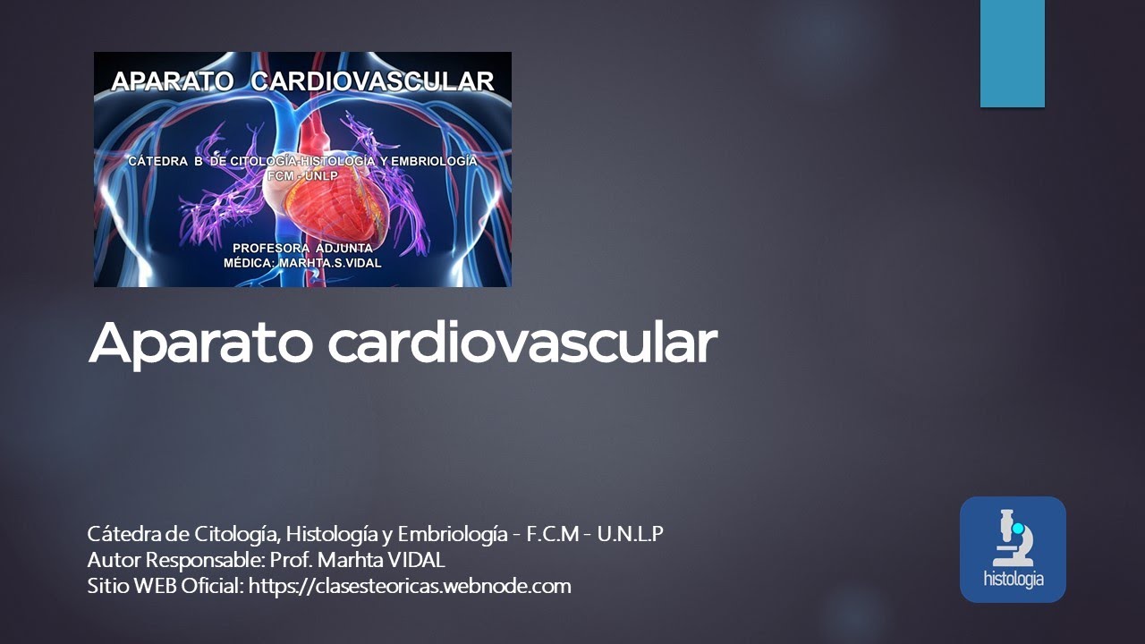 APARATO CARDIOVASCULAR