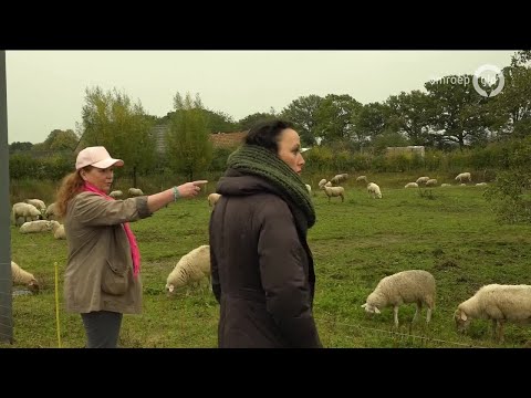 GLD Nieuws 21 oktober 2020