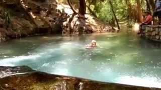 preview picture of video 'Katherine River Hot Springs'