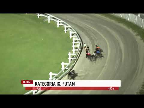 2023.08.11. 9. Futam - Kategória IX. futam - AA0