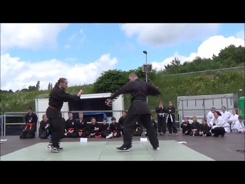 Dju-Su Vorführung beim Sommerfest der AWG 2016