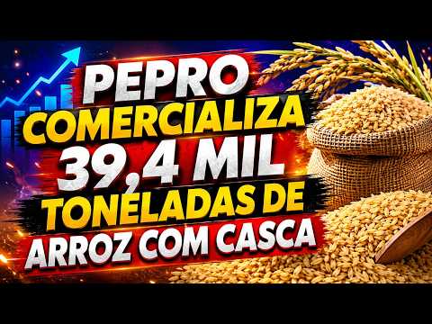 Leilão de Pepro comercializa 39,4 mil toneladas de arroz com casca.