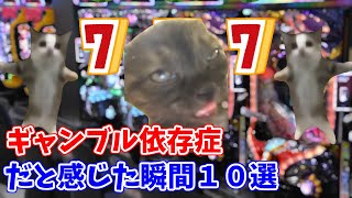 【猫ミーム】パチスロでギャンブル依存症だと感じた瞬間１０選