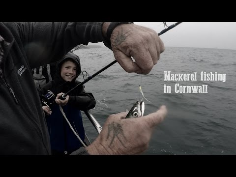 Mackerel Fishing Trip in Cornwall