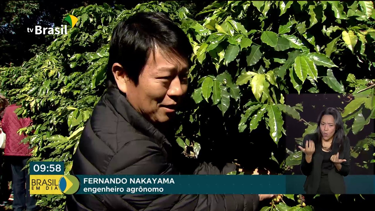 Antiga plantação de café em São Paulo atrai visitantes