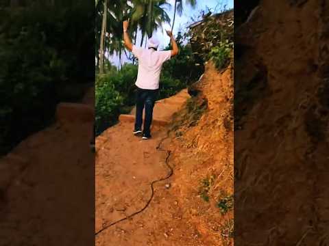 Goa Special Views #goa #shorts #reels  #ytshorts #beaches