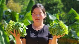 Download lagu The Vegetable Harvesting Process of a Single Mother - Ly Tieu Mila mp3 Download lagu The Vegetable Harvesting Process of a Single Mother - Ly Tieu Mila mp3