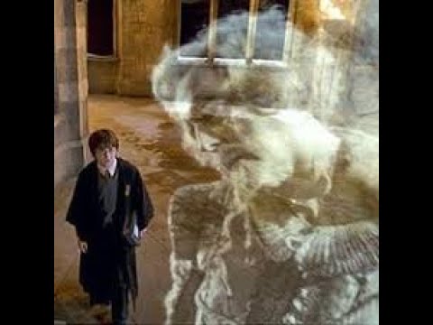 Harry Potter and the chamber of secrets: Harry finds nearly headless nick and Justin petrified