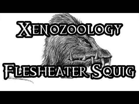 Xenozoology: Flesheater Squig - 40K Theories