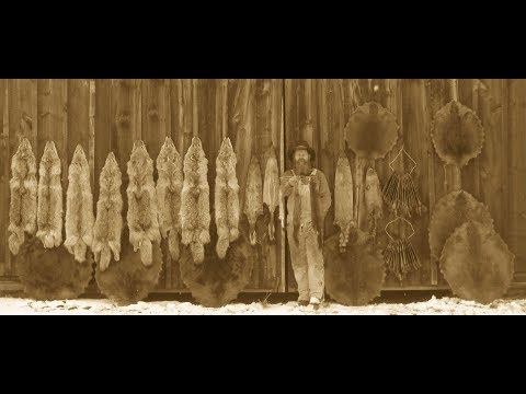 Making an easy Predator Bait