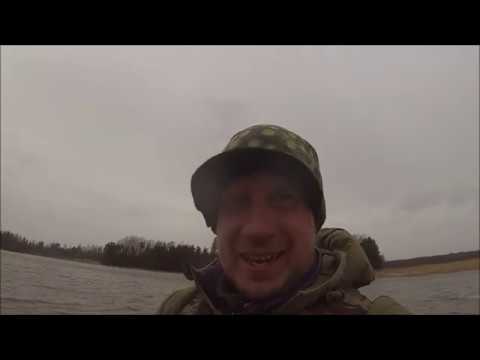 Suurhauki kauden ensimmäiseen renkailuun