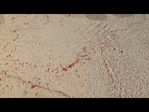 Tragedy in Massafra: Young man stabbed to death during argument