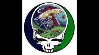 Grateful Dead When Push Comes to Shove Live at Alpine Valley Music Theatre on 1989-07-17