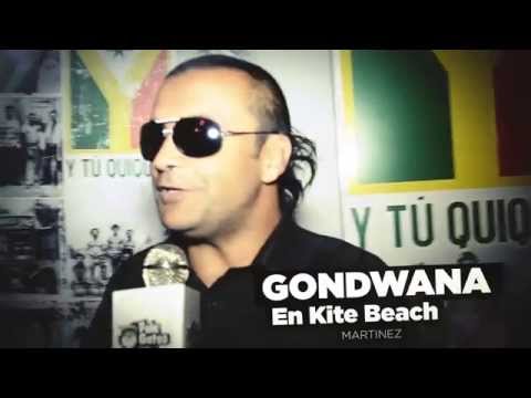 PelaGatos TV - Prog 142 (Anticipo)