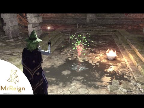 Hogwarts Legacy - Small Mini Leaf Tornado Puzzle Solution - South Hogwarts Region