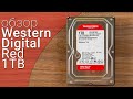 Видеообзор WD Red 6 TB (WD60EFAX)