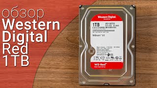 WD Red 1 TB (WD10EFRX) купить в интернет-магазине: цены на жесткий