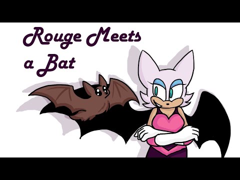 Rouge Meets a Bat