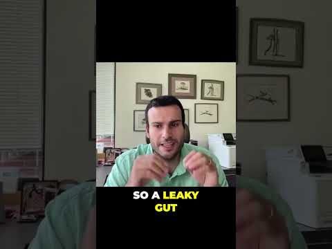 How Does Gut Health Connect to Chronic Illness?