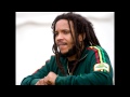 Stephen Marley - Iron Bars