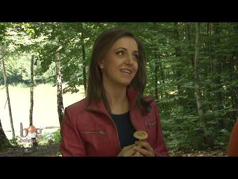 Big Boletus partea 1 (3 octombrie 2013)