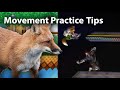 Melee Fox Movement Practice Recommendations