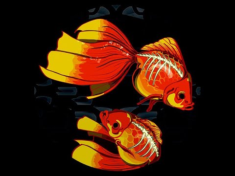 Hydrophonic Records 33 - Arno Bonzini + Frost