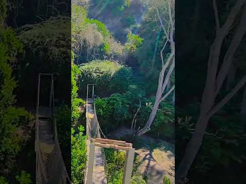 Parque Tricao. Santo Domingo. Valparaíso. Chile #valparaiso #chile  #viralshorts #viralvideo