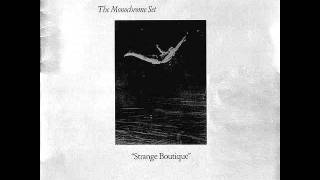 THE MONOCHROME SET goodbye joe 1980