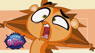 Thumbnail