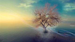 Rosi Golan- Been A Long Day