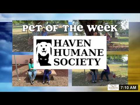 Coffee With Krueger Friday, Feb  28