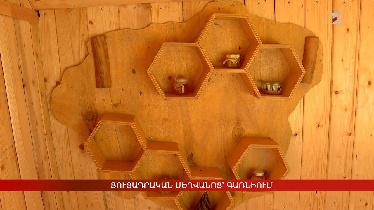 Ցուցադրական մեղվանոց՝ Գառնիում
