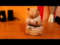 Gemmy Kung Fu Hamster
