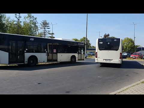 Autobuzul Mercedes-Benz Citaro Euro 4 #4731 pe linia 605.