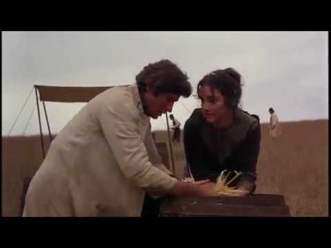 Small Faces | Itchycoo Park