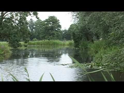 Blik op de Polder - Kamerik