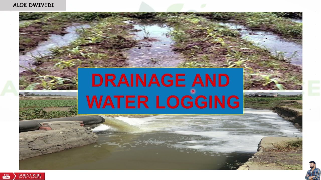 Drainage And Water Logging and it's Causes (Surface drainage) Fundamentals of Agriculture | Volume 1