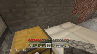 ［マインクラフト］まったり雑談マイクラ！　参加型！　初見&常連さん誰でも歓迎！！　コメント待ってるぜ！