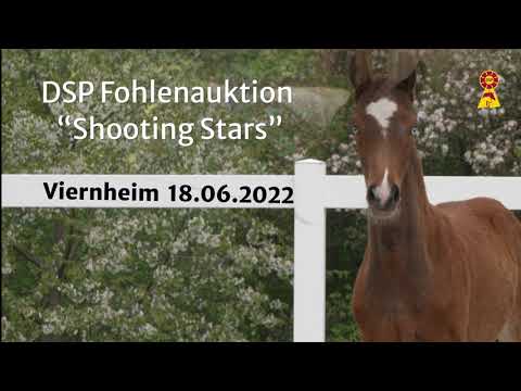 TRAILER Shooting Stars - DSP-Hybrid-Fohlenauktion am 18. Juni 2022 in Viernheim