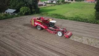 E&T Maes | Aardappelen rooien | Grimme Varitron 470 |