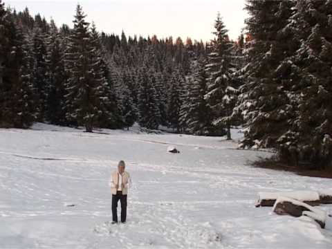 ADI BALINT - Colindul Petri de la Virciorog