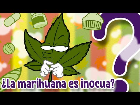 La marihuana ¿es nociva o saludable?