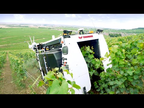 Vidéo YouTube - eQzA2dvniGk