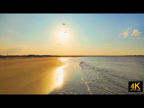 Charleston SC | Folly Beach | Real-Time Nature Sounds (No Talking)