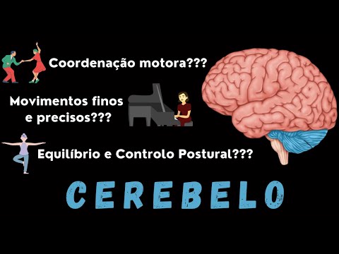 CEREBELO: ANATOMIA, DIVISÕES, FUNÇÕES (PARTE 1)