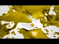 Liquid Cash Records ️2025 All Rights Reserved