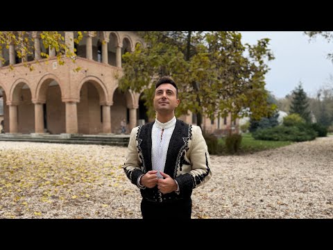 Valentin Sanfira - Inimioara rabdatoare