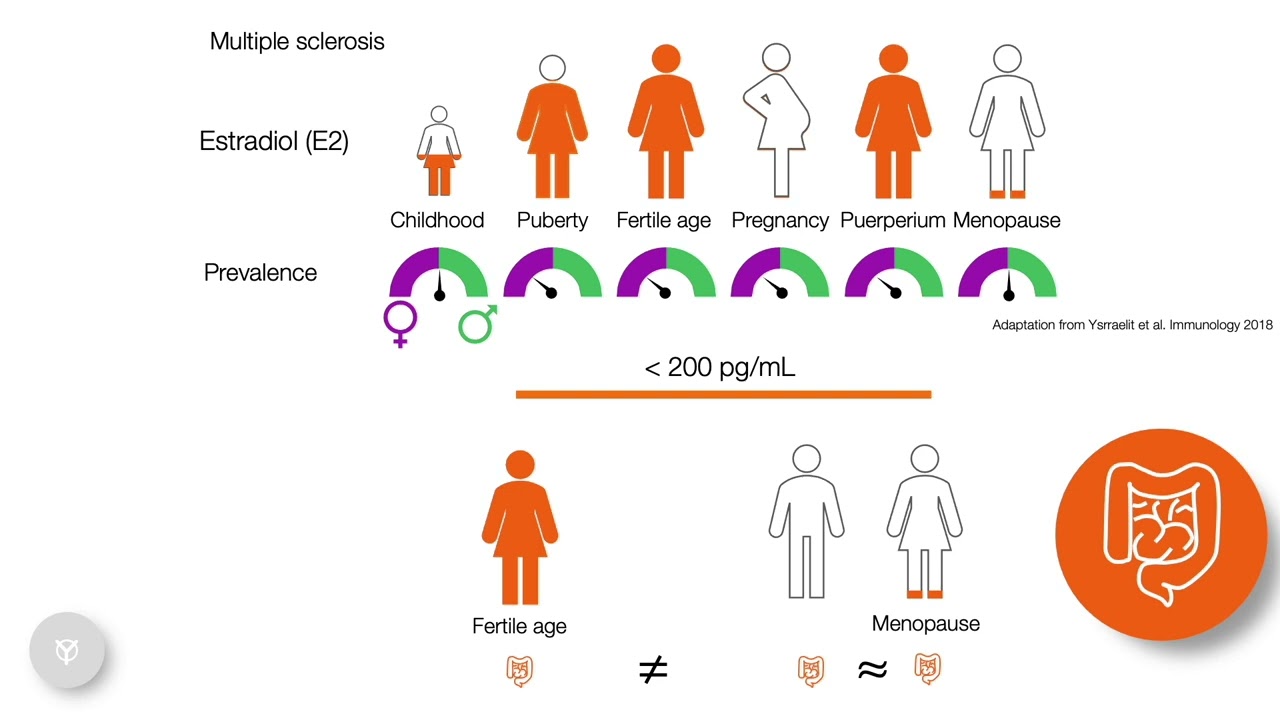 The powerful sex hormones - Estrogens