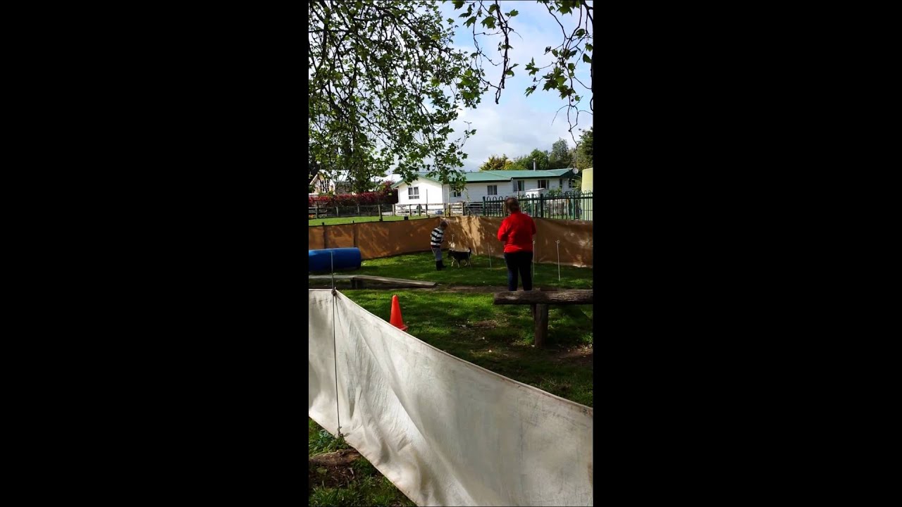 Ag day karapiro school